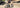 FENGQS Q8 Plus vs. Q8: Which Electric Ride Is Right for You?