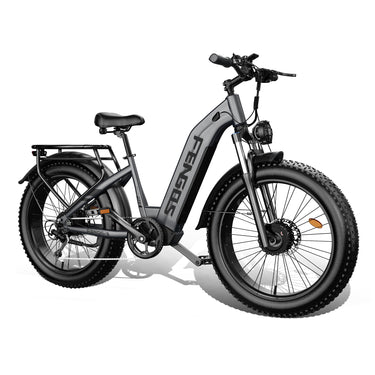 FENGQS H2 Pro Fat Tire Ebike