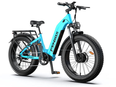 FENGQS H2 Pro Fat Tire Ebike